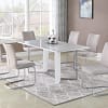 DINING TABLE SET
