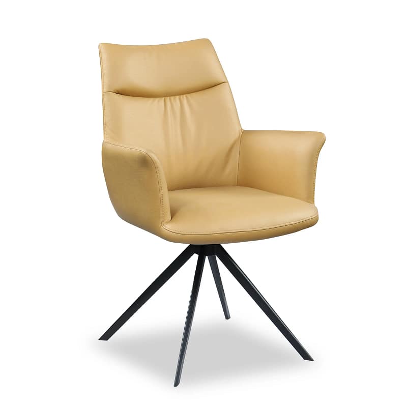 Arm chair